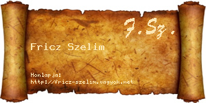 Fricz Szelim névjegykártya
